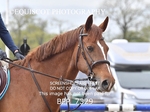 BPP_7329