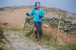 Black Combe-1137