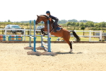 SBM_006811