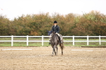 SBM_001986