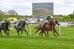 110526-Race 4-Irish Dancer-0852