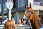 160725-Race 6-Bellarchi-9573