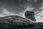 Mono portfolio