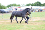 SBM_04036
