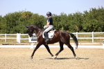 SBM_005510