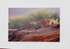 001 Leopard on Log