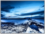 Cruel_Blue