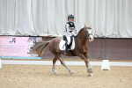 SBM_001013