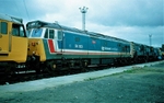 Laira T&RSMD, Plymouth portfolio