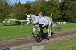 425-FERRO.PLEASANT-Katie.Ardern-TrotUp+SJ portfolio