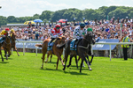 230526-Race 2-Possessive-6180