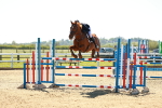 SBM_001665