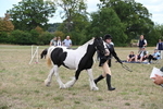 WJ6_5721