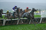 141125-Race 6-Frontier Prince-1511