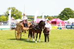 SBM_06664