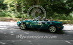 Heritage Charity Hillclimb_2014-41