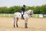 SBM_005886