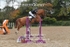 BPP_1190