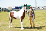 SBM_05537