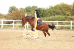 SBM_007709