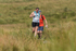 Ingleborough-1207