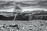 Landscapes - Black and White portfolio