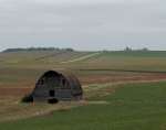 Barn Alone
