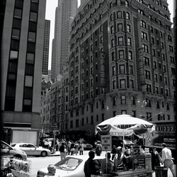 New York portfolio