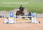 BPP_2272