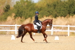 SBM_018315