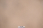 241006A-124811-07336