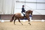 SBM_002254