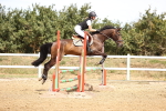 SBM_000608