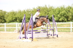 SBM_001294