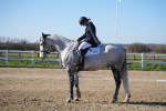 SBM_003296