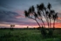 Sunrise at Weavers