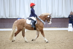 SBM_002270