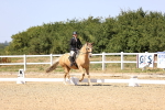 SBM_012213