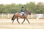 SBM_001374
