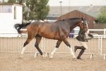 SBM_07761