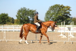 SBM_02173