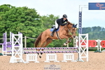 Cls 1 Snr British Novice and 90cm Open portfolio