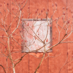 LARRY's KILN GALLERY REVISITED portfolio