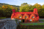 Tu Hwnt Ir Bont autumn 02