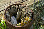 West Wittering - 09