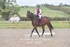 BPP_9864