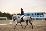 SBM_000385