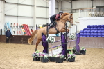 Class 15 - Joshua Jones Winter Discovery Championship Qualifier - 1.00m portfolio