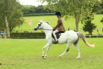 SBM_69922