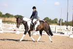 SBM_01919